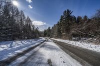 a lonely road that is surrounded by tall trees and snow covered branches along the sides