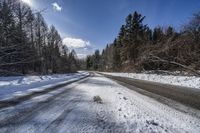 a lonely road that is surrounded by tall trees and snow covered branches along the sides