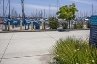 some boats that are parked at the marina in water and signs on the sidewalk and plants