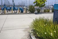 some boats that are parked at the marina in water and signs on the sidewalk and plants