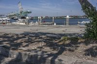 the large tree has some leaves hanging over it and is next to the water with boats docked