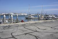 a line of boats are docked along a concrete walkway with black markings on the pavement