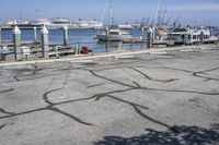 a line of boats are docked along a concrete walkway with black markings on the pavement