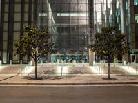 the outside of an office building lit up at night with trees in front of it