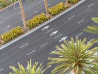 a car is traveling down an empty highway, passing palm trees and other greenery