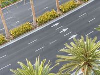 a car is traveling down an empty highway, passing palm trees and other greenery