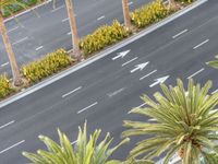 a car is traveling down an empty highway, passing palm trees and other greenery