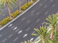 a car is traveling down an empty highway, passing palm trees and other greenery