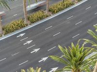 a car is traveling down an empty highway, passing palm trees and other greenery