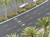 a car is traveling down an empty highway, passing palm trees and other greenery