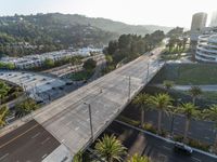 a freeway filled with lots of cars and lots of palm trees in the distance behind an overhead