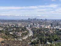 Aerial View of Los Angeles Metropolitan - 003