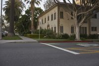 the stop sign painted on the street is next to some palm trees and houses in the background