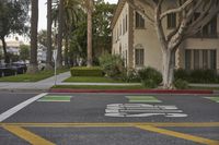 the stop sign painted on the street is next to some palm trees and houses in the background