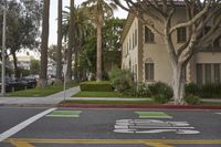 the stop sign painted on the street is next to some palm trees and houses in the background