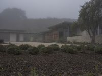 Los Angeles Architecture: Modern House in a Neighbourhood