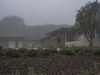 Los Angeles Architecture: Modern House in a Neighbourhood