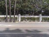street in front of white wall with trees in front of it and white fence to side with palm tree