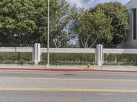 street in front of white wall with trees in front of it and white fence to side with palm tree