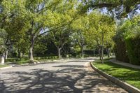 Los Angeles Asphalt Road in a Residential Area