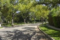 Los Angeles Asphalt Road in a Residential Area