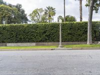 a person walking down the sidewalk by a signpost next to palm trees in the background