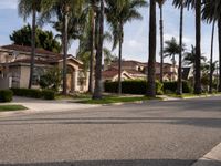 Exploring Los Angeles' Asphalt Roads