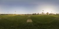 a baseball field with several rows of poles in the distance at dusk, near palm trees and other lighting