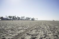 people walk on sand at a beach, near the ocean in the distance is a sky with few cloudless, and blue skies