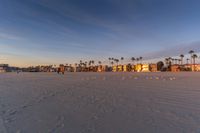 a sandy beach with many buildings and a large seagull in the distance at dusk