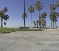 Los Angeles Beach: Enjoy a Day Under the Clear Sky