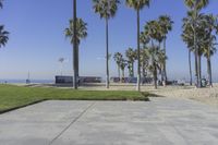 Los Angeles Beach: Enjoy a Day Under the Clear Sky