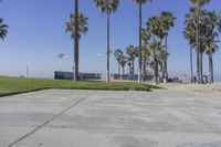 Los Angeles Beach: Enjoy a Day Under the Clear Sky