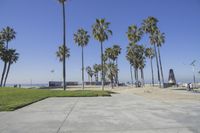 Los Angeles Beach: Enjoy a Day Under the Clear Sky