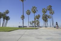 Los Angeles Beach: Enjoy a Day Under the Clear Sky