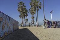 a sandy area with palm trees and some graffiti on the walls next to it and someone walking