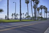 Los Angeles Beach: A Recreational Landscape