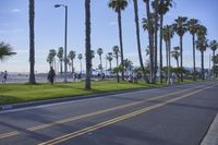 Los Angeles Beach: A Recreational Landscape