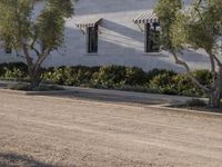 Los Angeles: Brick Wall and Tree-Lined Streets