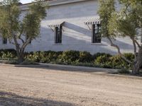 Los Angeles: Brick Wall and Tree-lined Streets