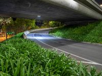 the light shines off in the tunnel of a bridge over the road with plants on either side