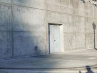 Los Angeles Building: The City of Concrete