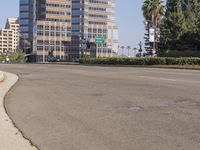 a stoplight with palm trees in the background near a road and tall buildings on the left