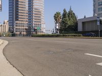 a stoplight with palm trees in the background near a road and tall buildings on the left