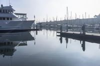 Los Angeles, California: A Coastal City