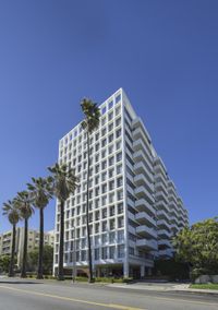the building is tall and slender, as seen from a street corner in front of palm trees