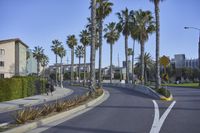 Los Angeles California Coastal View with Palm Trees 001