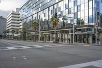 a city street is shown, with palm trees lining the street and an office building