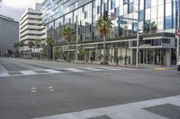 a city street is shown, with palm trees lining the street and an office building