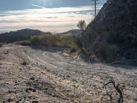 Los Angeles, California: Daytime Landscape